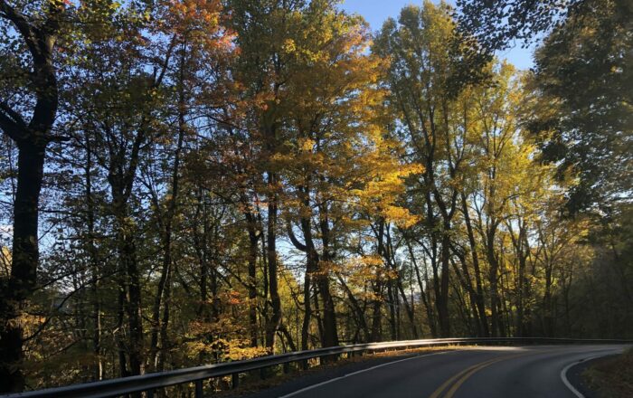 Scenic Drives in Fall